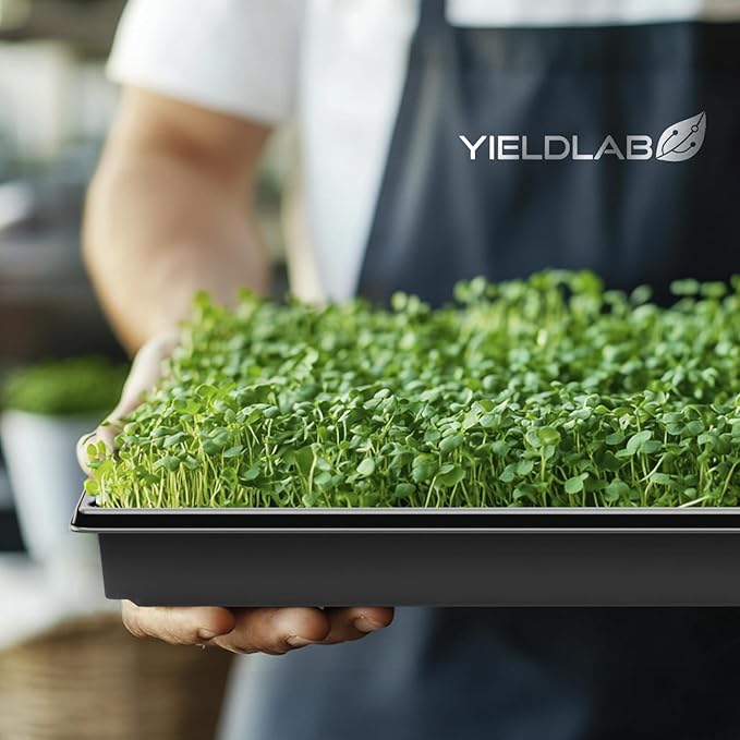 10x20 Inch Black Plastic 15 Pack Plant Propagation Tray – Growing Trays for Garden Planting Seedling Soil &amp Hydroponic Horticulture - Microgreen Trays Grow Plants - No Drain Holes