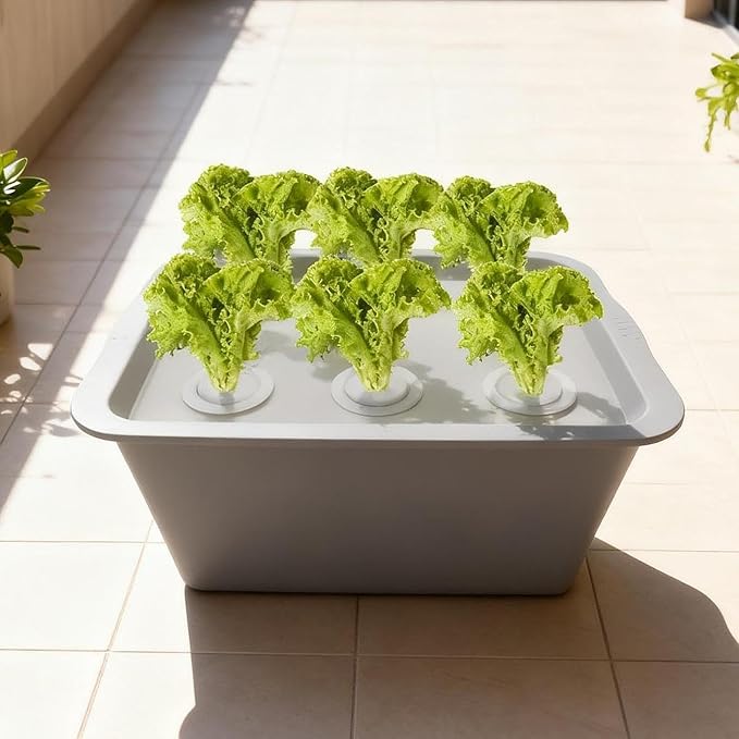 Hydroponic Growing Box Self Watering Soilless Cultivation Equipment Aerated Garden Cabinet Box for Lettuce Vegetables Suitable for Family Gardening Pa