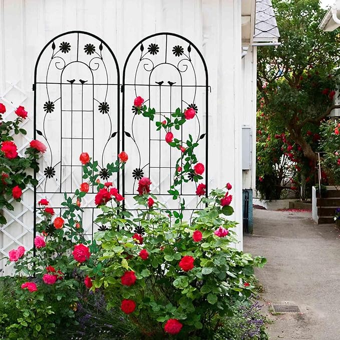 Garden Trellis Set: 2 Pack 71 Tall Black Metal Trellises for Climbing Plants - Rustproof Outdoor Flower Support with Decorative Floral Design