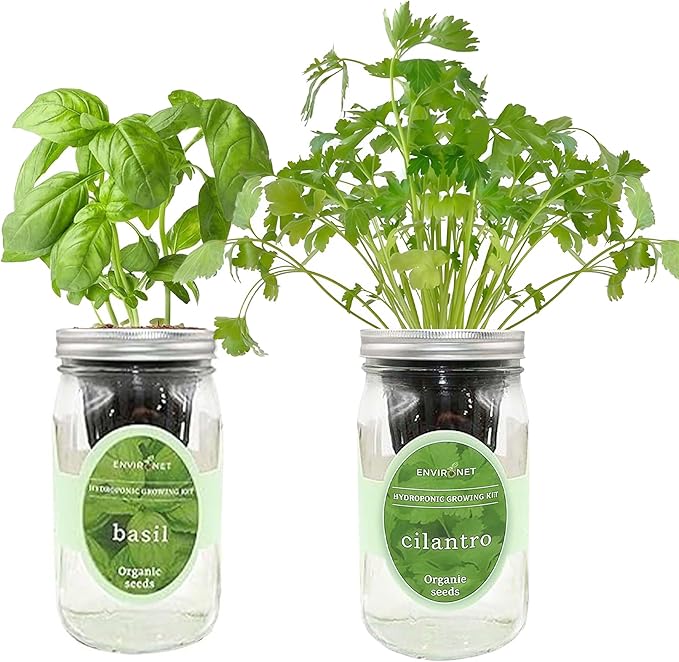 2-Pack Hydroponic Mason Jar Herb Garden Kit Indoor Herb Garden Self-Watering Starter Kit (BasilCilantro)