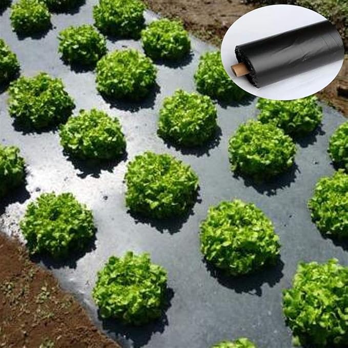 1pcs Perforated Mulch Weed Control 4.5cm Hole Agriculture Film Breeding Mulch Veg Patch for Tomato Strawberry Growth Punch(0.95x10m)