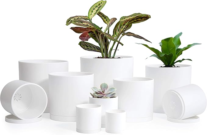 D'vine Dev 10 Pack Plastic Plant Pots for Plants 6.5/6/5.5/5/4.5/4/3.5/3/2.5/2 Inch Indoor Planters Cylindrical Succulent Pot with Drainage Hole and Saucer White 74-S-A