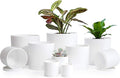 D'vine Dev 10 Pack Plastic Plant Pots for Plants 6.5/6/5.5/5/4.5/4/3.5/3/2.5/2 Inch Indoor Planters Cylindrical Succulent Pot with Drainage Hole and Saucer White 74-S-A