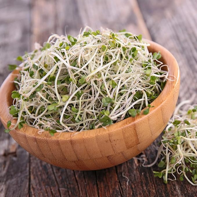 Handy Pantry Organic Sprouting Seed Assortments - Microgreens Sprout Seeds Variety Pack (12 Pack - Premeasured)