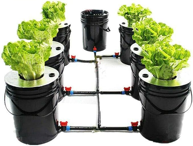 Hydroponics 5 Gallon Bucket Growing System Growing System Kit 7 Bucket Recirculating Deep Water Aquaculture with Pump for Indoor/Outdoor Leafy Vegetables