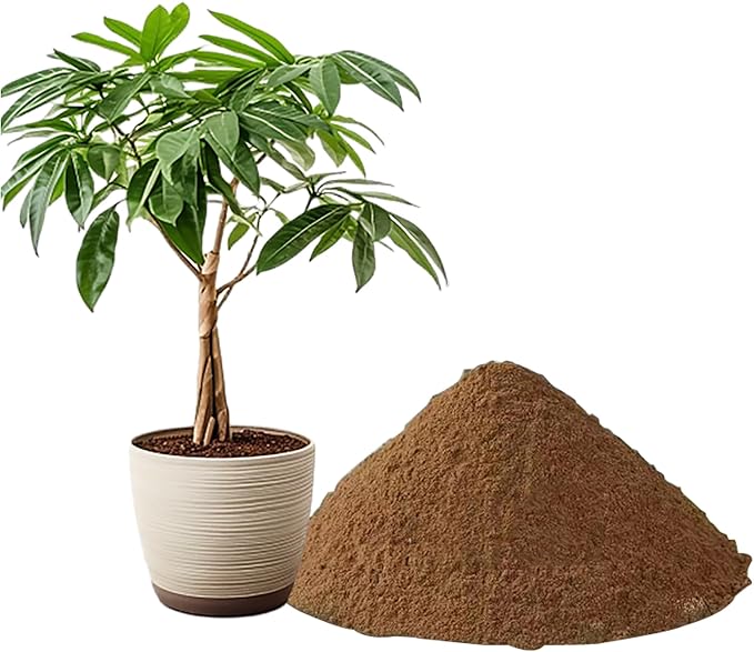 5.5 LBS Pond Plant Potting Media Nutrient-Rich Aquatic Soil for Water Gardens Supports Strong Root Growth