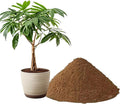 5.5 LBS Pond Plant Potting Media Nutrient-Rich Aquatic Soil for Water Gardens Supports Strong Root Growth