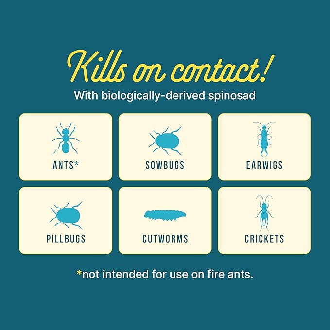 Sunday Ant Adios - Bug &amp Ant Killer - Outdoor Insect Control Uses Spinosad to Eliminate Ants Earwigs Cutworms &amp More - Treats 4000 sq ft - Results in 3-14 Days - 2 Pack 2lbs