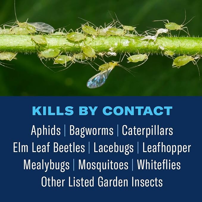 BioAdvanced Tree and Shrub Insect Killer Ready-to-Use 32Oz