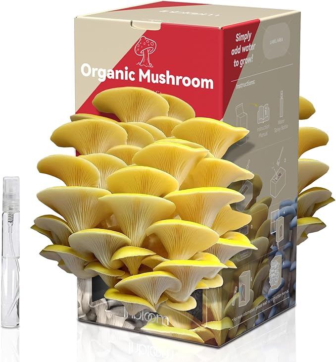 inbloom Organic Golden Oyster Mushroom Growing Kit with Spray Harvest Fresh Mushrooms at Home Beginner Friendly &amp Easy to Use Unique Gardening Gift for Holiday Handmade in New Jersey USA