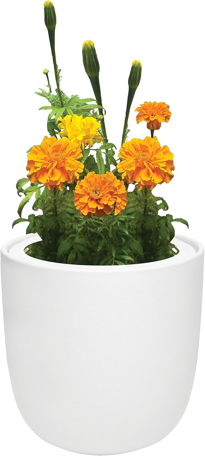 Hydroponic Growing Kit Self-Watering Garden Starter Kit with White Ceramic Pot and Seeds (Marigold)