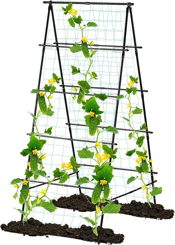 Garden Trellis for Climbing Plants 71 H x 32 W Metal A-Frame Cucumber Trellis Outdoor Fruits Watermelon Plants Vegetable Tomato Squash Peas Beans with Netting Black