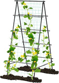 Garden Trellis for Climbing Plants 71 H x 32 W Metal A-Frame Cucumber Trellis Outdoor Fruits Watermelon Plants Vegetable Tomato Squash Peas Beans with Netting Black