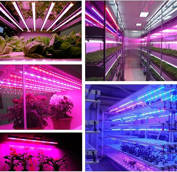 LED Plants Grow Lights DC 12 V 5730 SMD LED Bar Lights Compatible with Aquarium Greenhouse Lamp 10pcs 50CM (Color : Clearly Cover Size : 5Red 1 Blue)