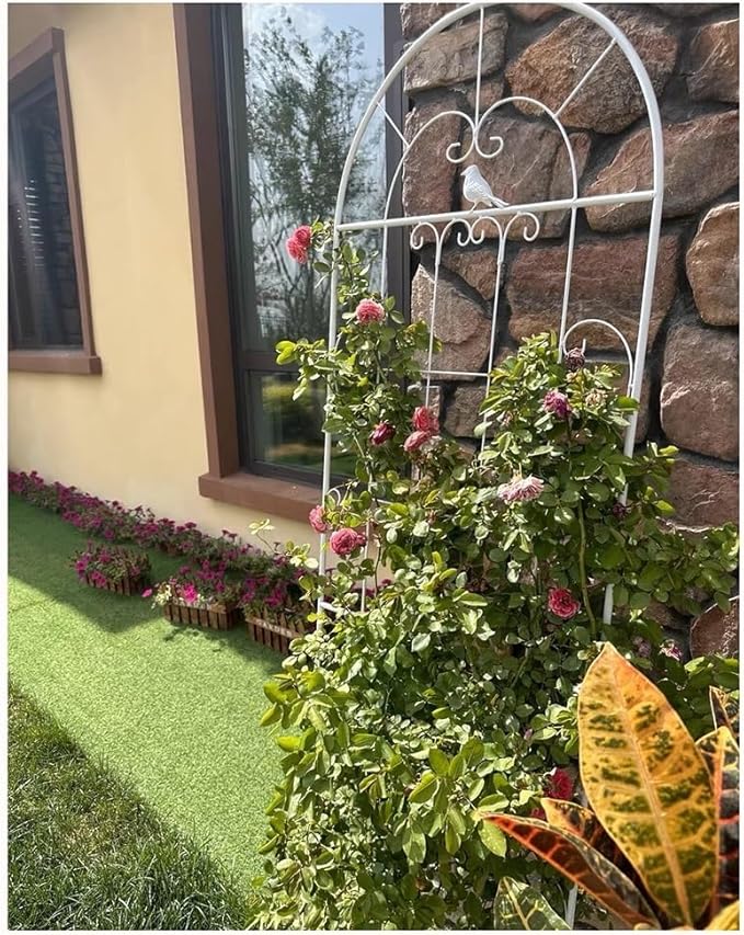 Iron Plant Trellis for Climbing Plants Support Outdoor/Indoor 1-Pack Garden Trellis for Potted Plants Tomato/Rose Plant Vine Support(Color:WhiteSize:230 * 52cm/91 * 20.5in)