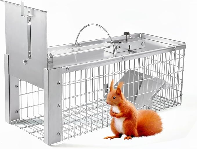 Live Animal Cage Trap Durable Humane Animal Trap for Squirrels Weasels Chipmunks and Small Animals Easy Catch &amp Release (1 Trap)