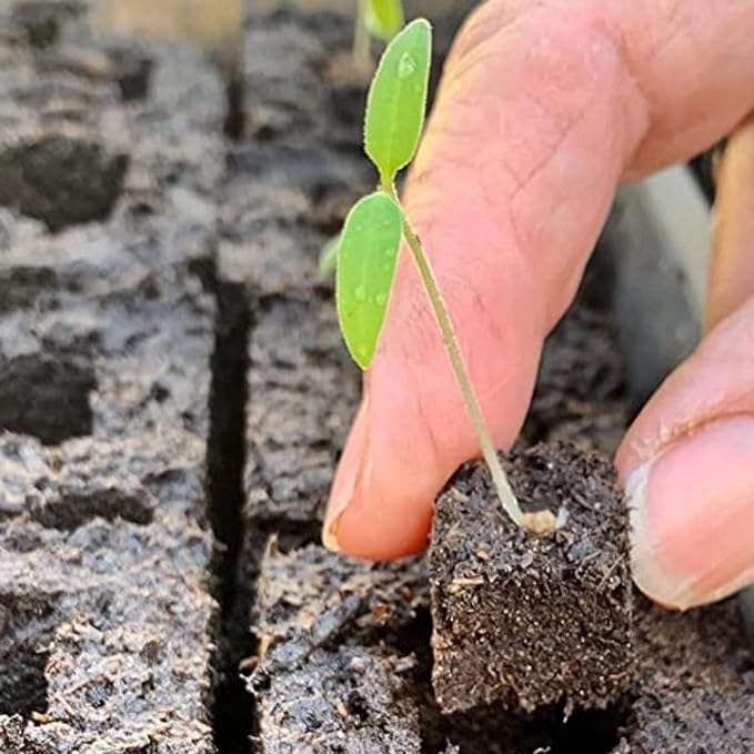 Soil Blocker Hand Held Soil Block Maker Hand Held Seed Block Maker with Comfortable Handle Gardening Tool for Seed Starting Protecting Seedling Transplants from Damage