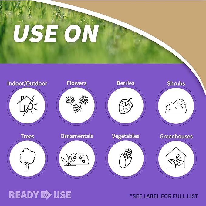 Bonide Insecticidal Soap 32 oz Ready-to-Use Spray Multi-Purpose Insect Control for Organic Gardening Indoor and Outdoor- Pack of 2