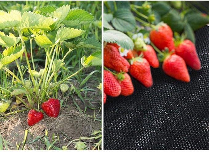 1pcs PE Agricultural Anti Grass Cloth Farm-Oriented Weed Barrier Mat Plastic Mulch Thicker Orchard Garden Weed Control Fabric(0.8m Width 15M Length)