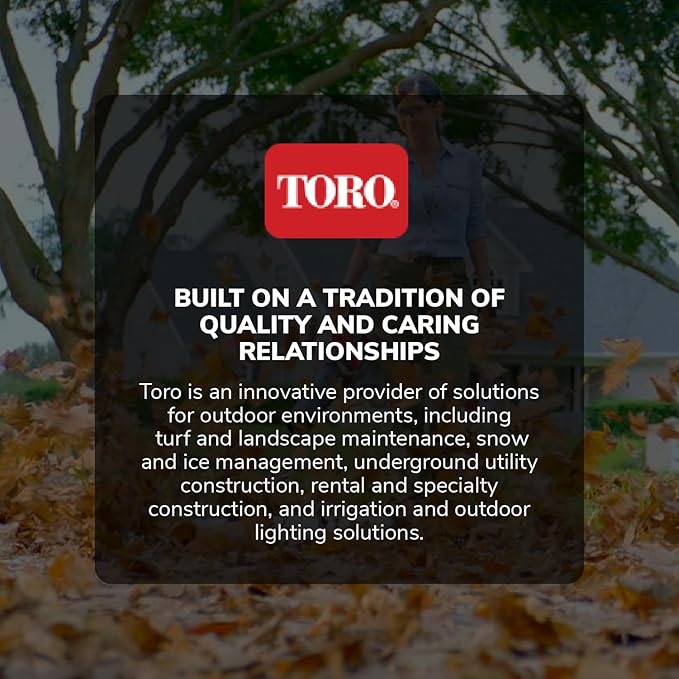 Toro Flex Force 60-Volt Max Brushless and Cordless Leaf Blower with 2.0-Ah Battery and Charger