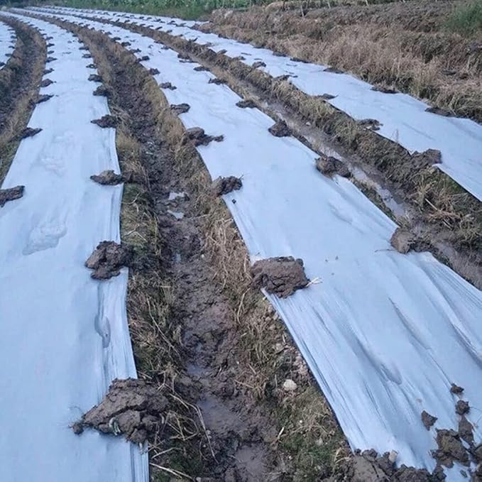300m²/Roll 0.012mm Silvery Black Reflective Plastic Mulch Film for Agricultral Orchard Tee Double Color Planting Film Plant Covers (Size : Width 0.6m (L 500m))