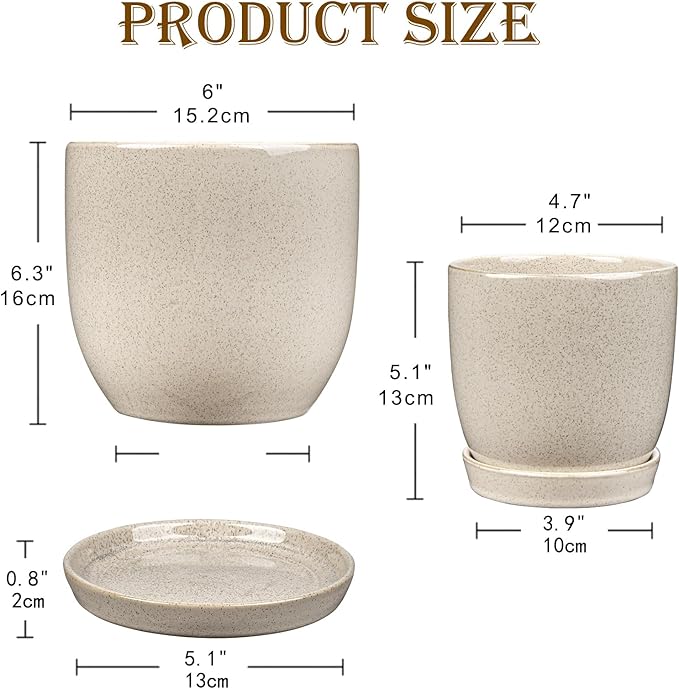 Ceramic Plant Pots 6 Inch + 5 Inch Set of 2 Flower Plants Pot with Drainage Holes and Saucers Tray White Planter Garden Pot for Succulent Cactus Home Decoration Gift Indoor Outdoor