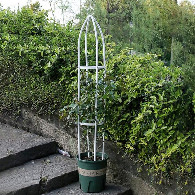 Garden Plant Support Stakes Iron Tower Obelisk Trellis Flower SupportTrellis Support Metal FrameOutdoor Lightweight Plant Tower Black Steel Tall Tower for Climbing Vines Rose and Plants(Black M)