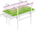 NFT Hydroponic Growing System Kit - Full-Spectrum Grow Lights ＆ Timer | 36 Plant Sites | Food-Grade PVC-U Pipes | Auto Water Pump &amp Timer | Indoor Gardening for Leafy Greens Lettuce &amp Herbs