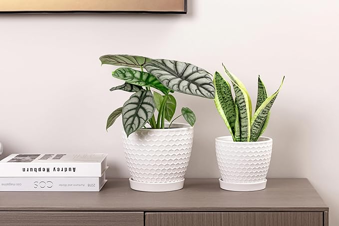 Docrin Ceramic Plant Pots Set of 2 (6.6+5.5) High-Fired Clay Indoor Planters with Drainage Holes &amp Saucer Honeycomb Modern Home Decor for All House Plants