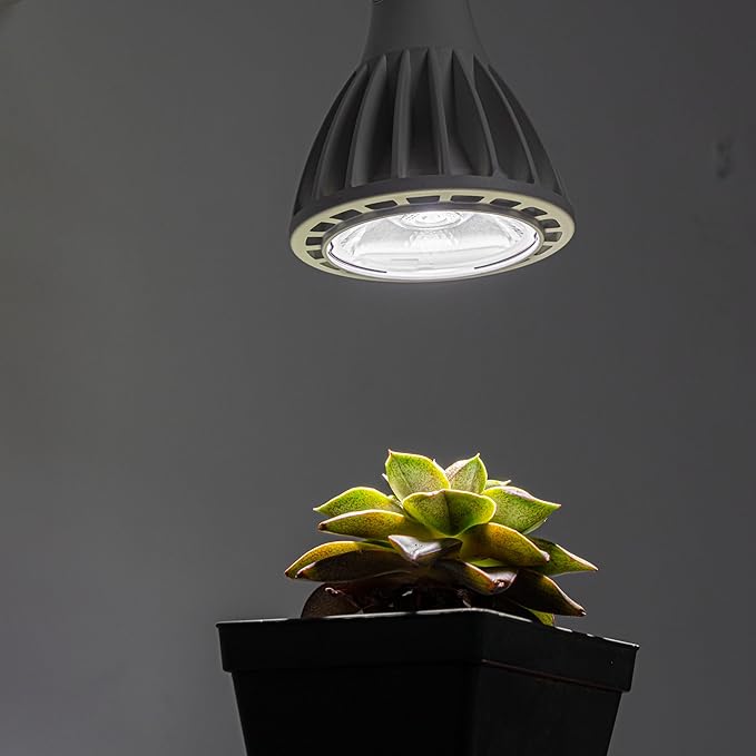 2-Pack Hook Type Wall Mounted Plant Light Full Spectrum 25W 6000K White Light Vintage White Metal Adjusted Angle Timing Wall Lamps for Plants Flowers Indoor Growing