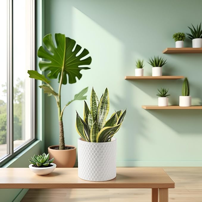 Docrin Ceramic Planters Indoor 8 Inch Plant Pot with Drainage Holes for Home/Office - White Honeycomb