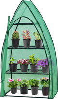 EAGLE PEAK 4-Tier Mini Greenhouse Portable Green House with Shelves &amp Weather-Resistant PE Cover Small Greenhouse for Seedlings &amp Gardening Gifts 35x18x63 in Clear/Green