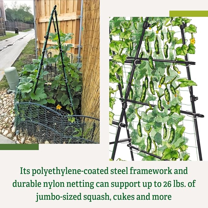 Gardener's Supply Company Titan A-Frame Trellis | Strong and Sturdy Outdoor Garden Trellis Plant Support for Cucumbers Beans Vine Herbs &amp Other Climbing Plants w/Easy to Install Tough Nylon Nett
