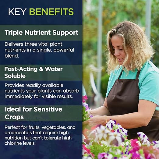 Supply Solutions | 0-0-22 Pro-Mag Trio - High Potassium Magnesium &amp Sulfur Fertilizer for Lawns Turf Palm &amp Fruit Trees - Water-Soluble Plant Food for Stronger Growth &amp Higher Yields (4
