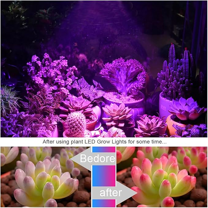 5pcs COB LED Ceramics Chip No Need Driver AC220V 3W 5W 7W 9W Lamp Bead for DIY Plant Grow Light LED Bulb Floodlight Spotlight(7W 5pcs)