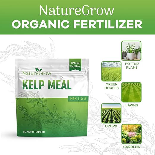 Kelp Meal1-0-2 Natural Plant Food Boost Plant Health and Yield! (3lb)