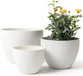 LA JOLIE MUSE 14.2/11.3/8.6 Inch PlantersIndoor/Outdoor White Planters Set of 3Plant Container with Drain HolesFlower Pots for Patio and Deck