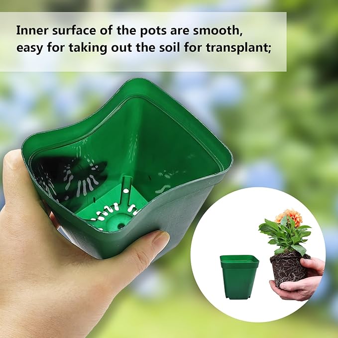 Square Nursery Succulent Pots 4 Inches 60 Pcs Deep Flower Plant Nursery Seedling Grow Pots Plastic with Drainage (Green 4Inches 60Pcs)