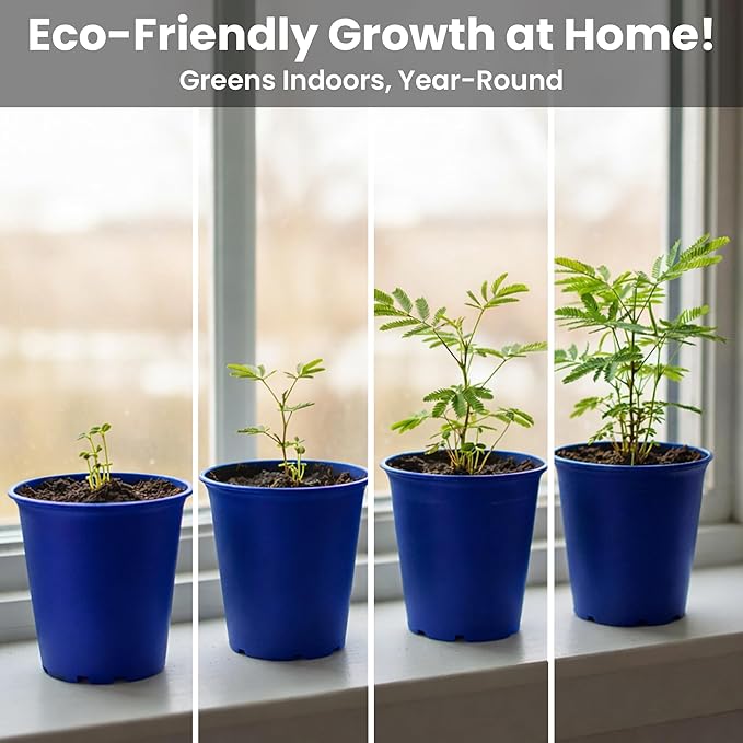 TickleMe Plant Deluxe Family Greenhouse Kit – Grow the Playful Plant that Closes Its Leaves When Tickled! Includes Mini Greenhouse 3 Seed Packets Soil Pellets &amp Pots – Fun Indoor Gardening Gift