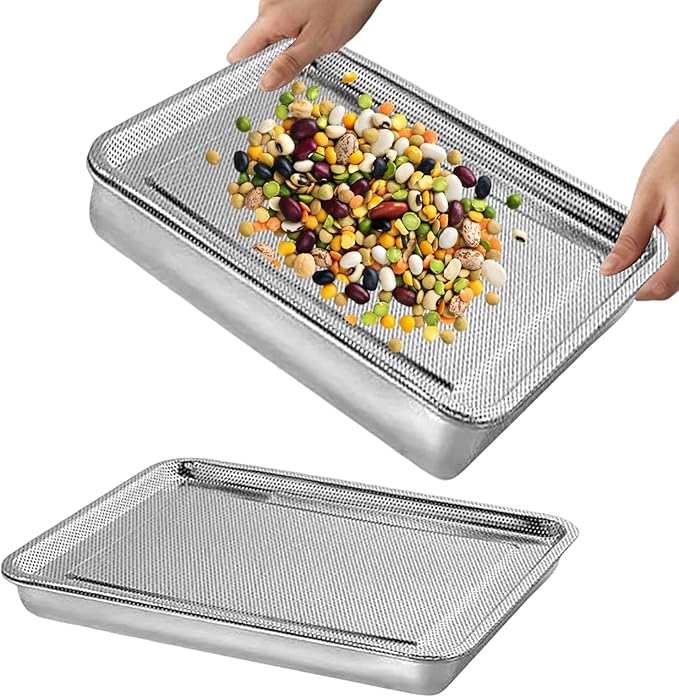 Seed Sprouter Tray Stainless Steel Seed Germination Tray Kit Rectangle Wheatgrass Bean Sprouts Grow Tray for Garden Supply 26x20x5 cm 2PCS Home Decor Accessory