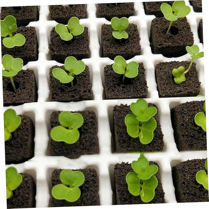 GANAZONO 60pcs Plant Starter Cubes Containers Plant Starter Plugs Potting Soil Peat Moss Blocks Fertilizer Nutrient Blocks