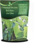 Outsidepride Bayou Kale Seeds - 5 lb. Annual Versatile &amp Cold-Tolerant Cover Crop Seeds for Planting Large Resilient Foliage for Livestock Grazing Erosion Control &amp Easy Growth