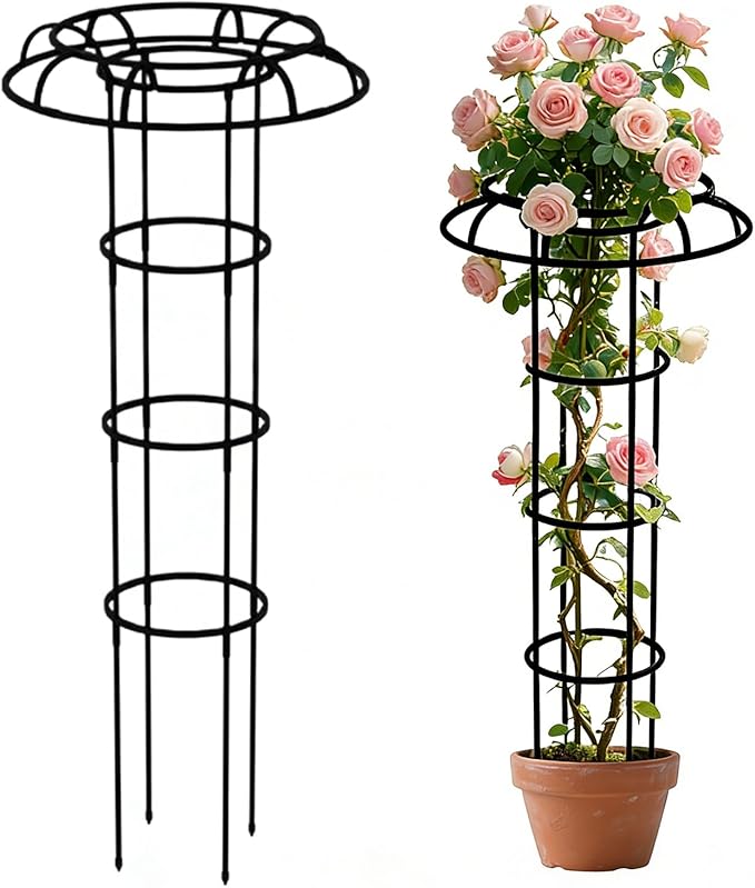 Garden Trellis - Vertical Umbrella Shape Plant Support for Climbing Plants | All Weather Outdoor Frame Decorative Structure Stable Ground Placement &amp Space Saving Growth Guide for Vines Flowers