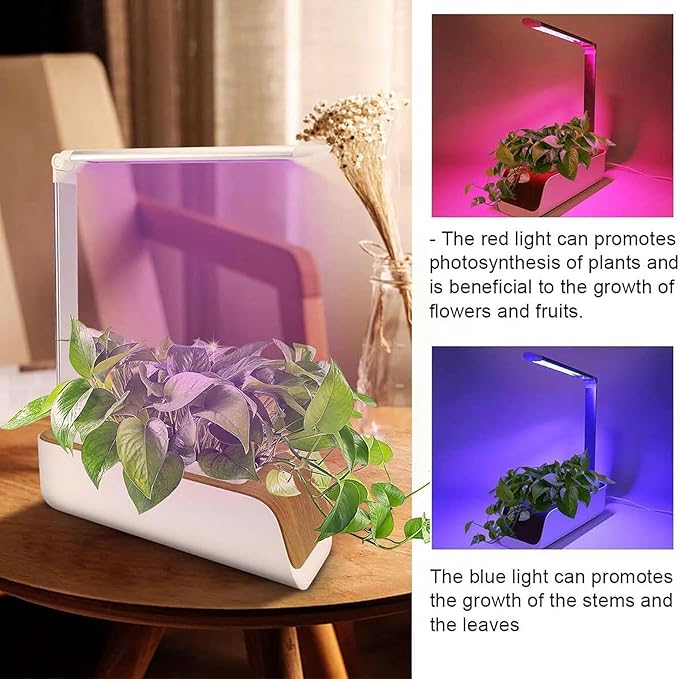 Hydroponic Culture System Plant Flu
