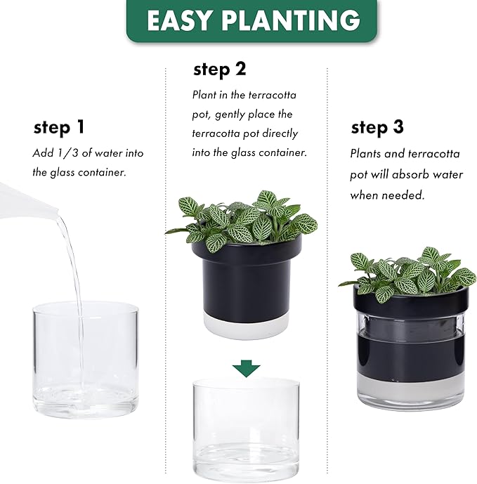Phoenix Vine 4 Inch Self Watering Planter Pot Black Terracotta Clay Pot with Glass Reservoir for Indoor Plants Herbs Flowers Set of 2 52-C-E-2