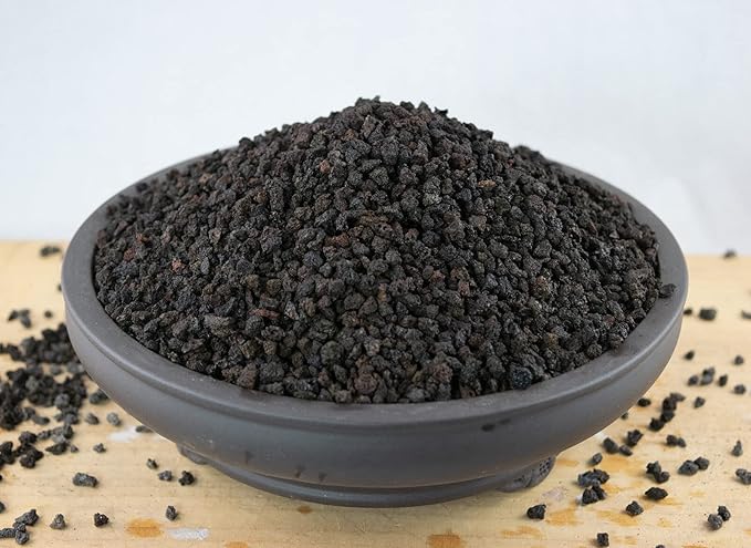 6 Quarts - 1/8 Horticultural Black Lava for Succulent and Bonsai Tree Soil Mix -qln