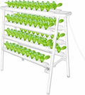 Hydroponic Grow Kit Hydroponics Growing System 4 Layers 72 Plant Sites Food-Grade Pipes Hydroponic Planting Equipment with Water Pump Pump Timer for Leafy Vegetables