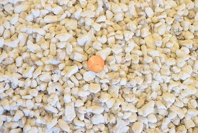 2 Gal. Horticultural Perlite for Seedling Cutting Propagatiion Cactus &amp Succulent Soil Mix - Medium Grain