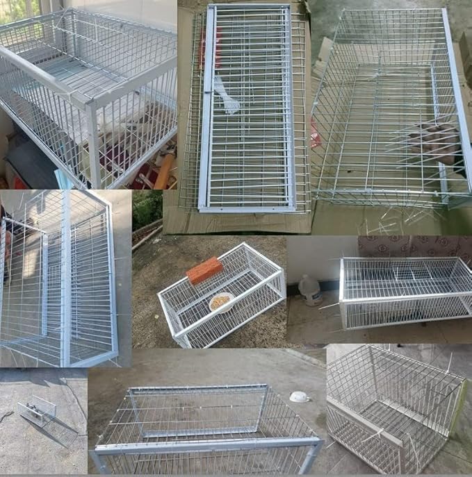 Foldable Galvanised Pigeon Trap Cage Humane One-Way Entrance Escape-Proof Design Portable Easy Assembly Ideal Pigeon Coop and Bird Trap Cage for Feral Doves Andowns (23.63 L X 15.75 W X 10.24 H)