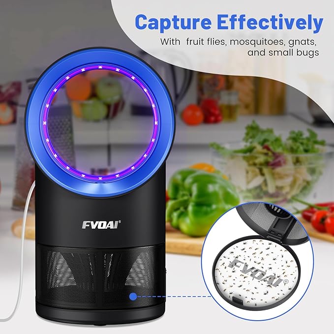 Fruit Fly Trap for Indoors Fly Traps for Home Gnat Traps House Indoor Indoor Insect Trap with Time Setting 10 Sticky Glue Boards (Blue)